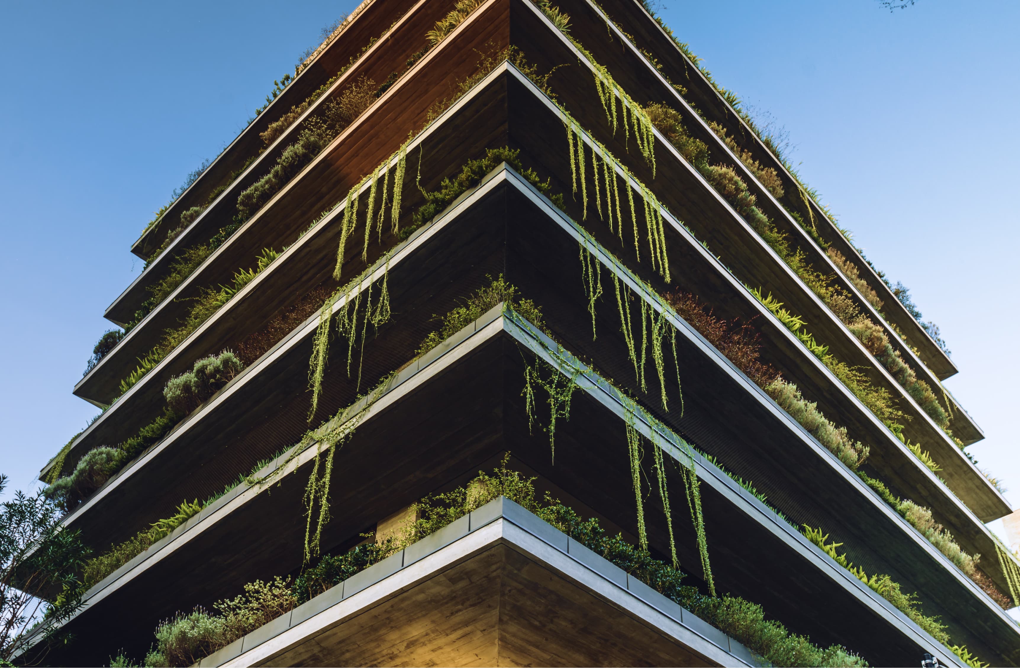 A sustentabilidade e a biofilia dentrodo conceito de building wellness