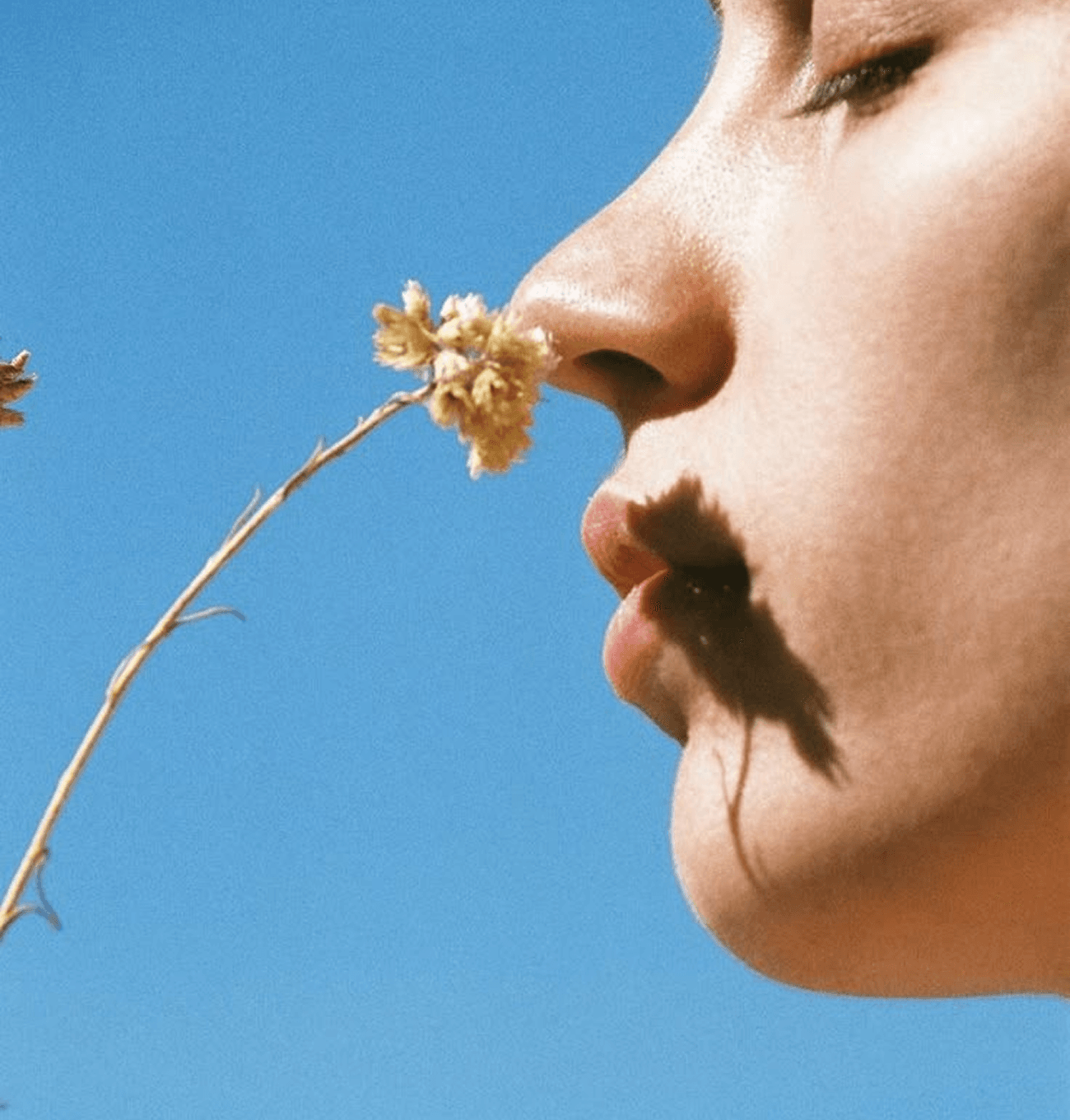 Smell: the most strategic sense for contemporary well-being.