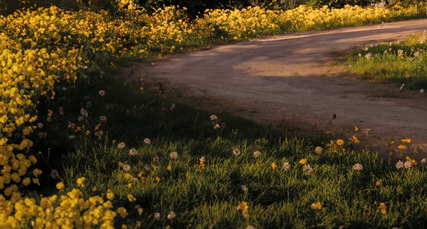 Automated irrigation of flower beds