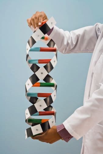 Architectural Epigenetics: The Home That Shapes Your DNA