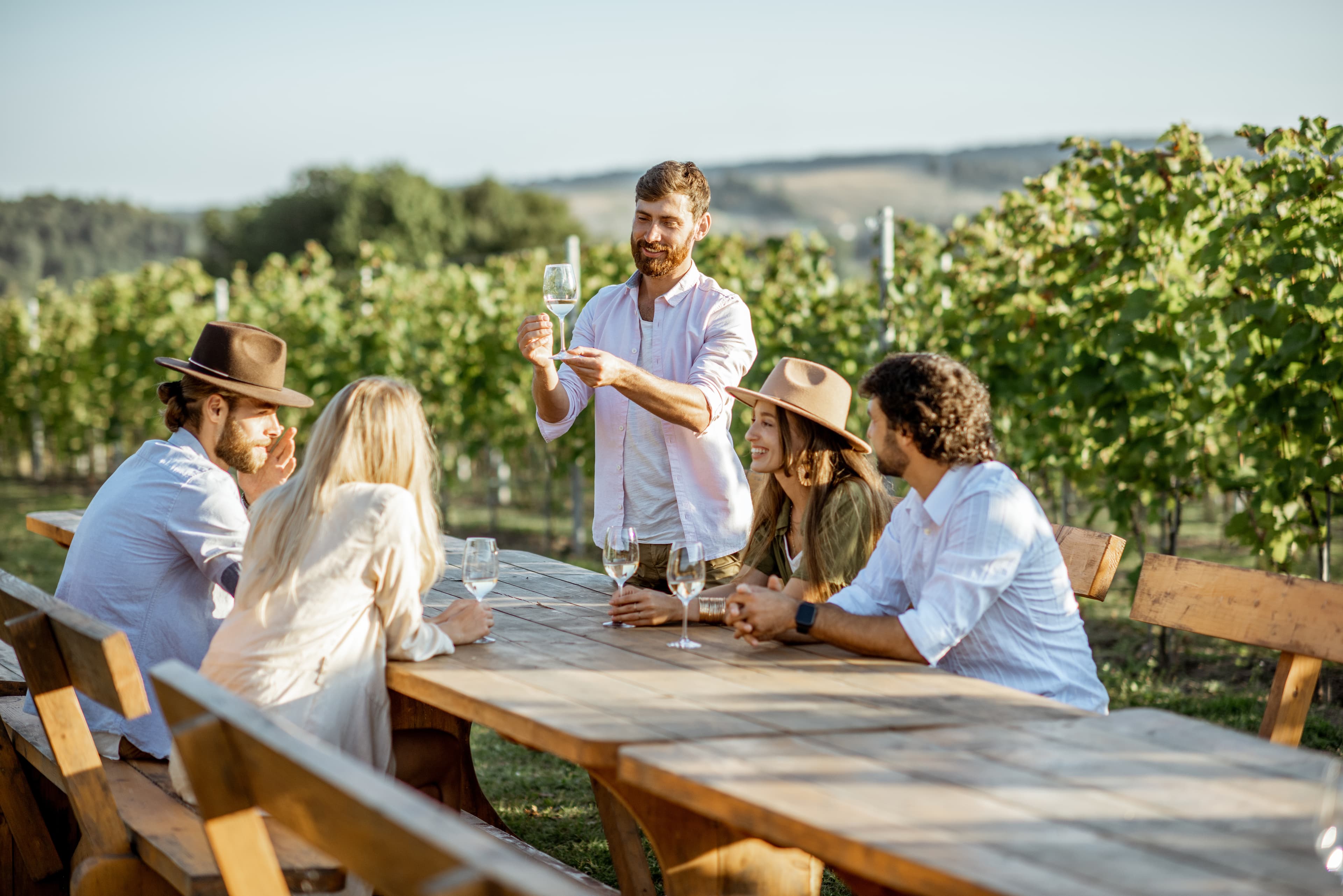 The Summer Harvest: The toast begins at the vineyard.