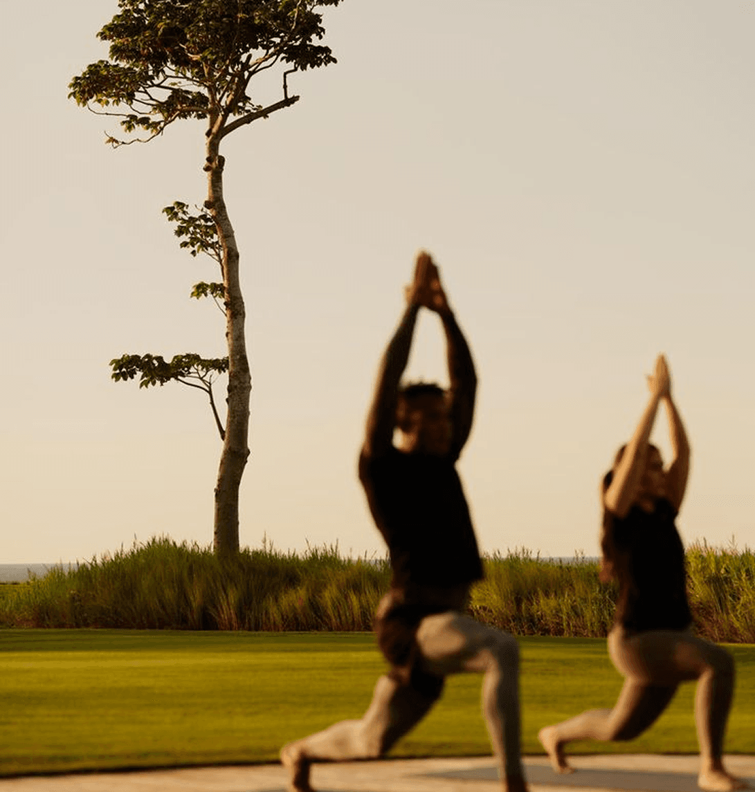 Wellness x Sport Tourism: viajar como extensão do corpo em movimento